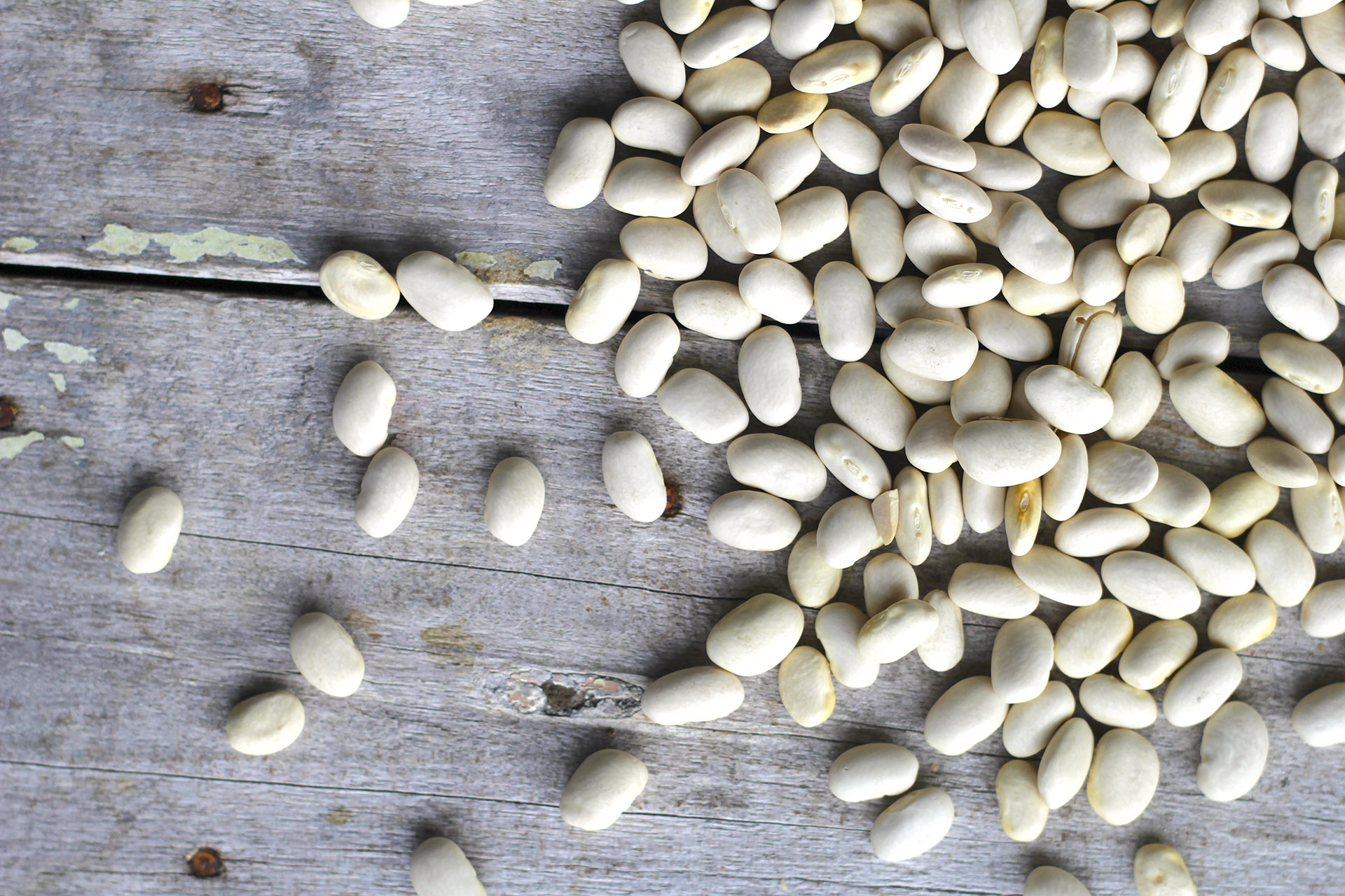 Đậu trắng tươi