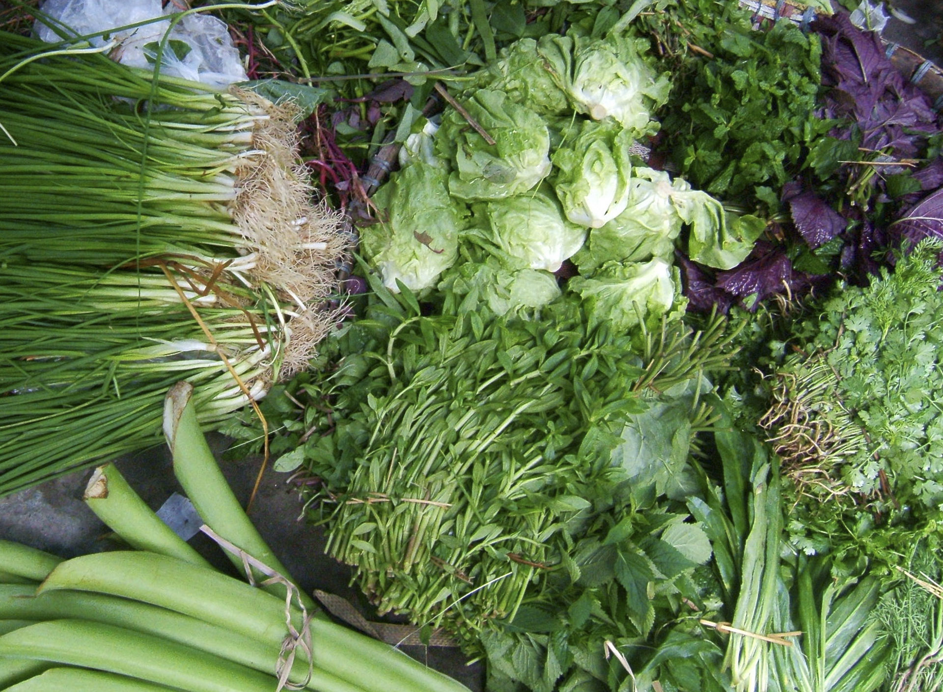 Rau thơm các loại