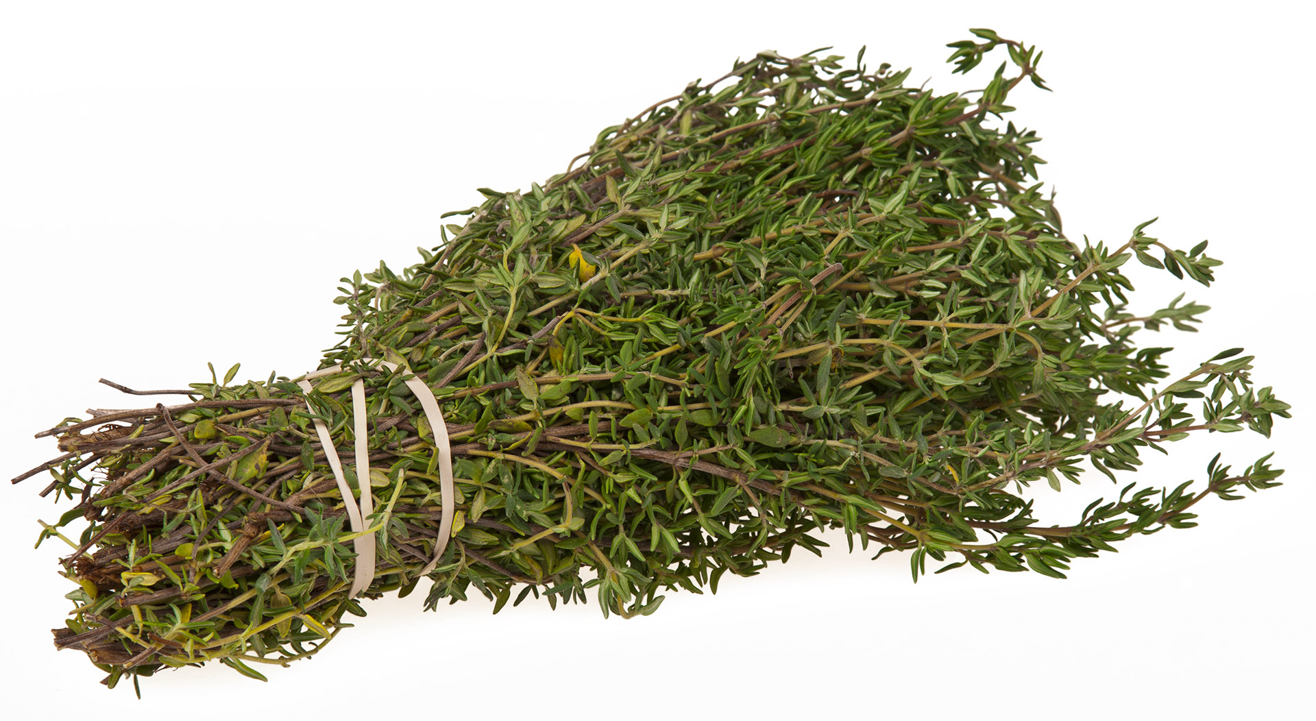 Xạ hương (Thyme)
